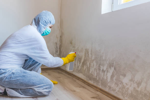 Licensed Commercial Mold Remediation service in Fayetteville, NC - Car Mold Remediation