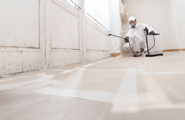 24/7 Emergency Commercial Mold Remediation experts in Fayetteville, NC