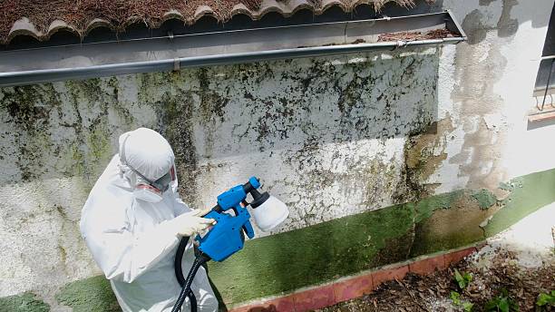 Top rated local Commercial Mold Remediation specialists in Fayetteville, NC